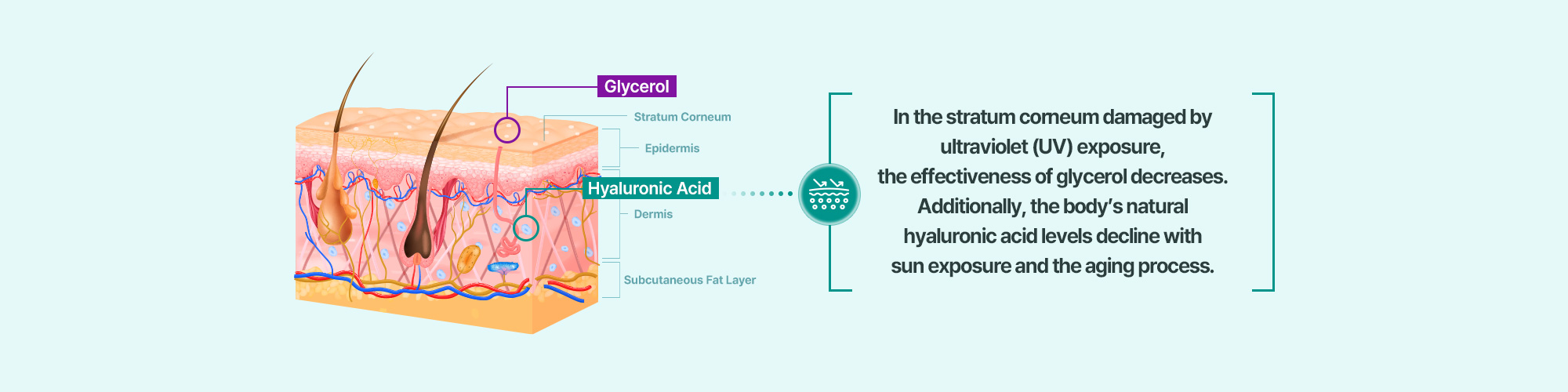 Hydration&Repair-05