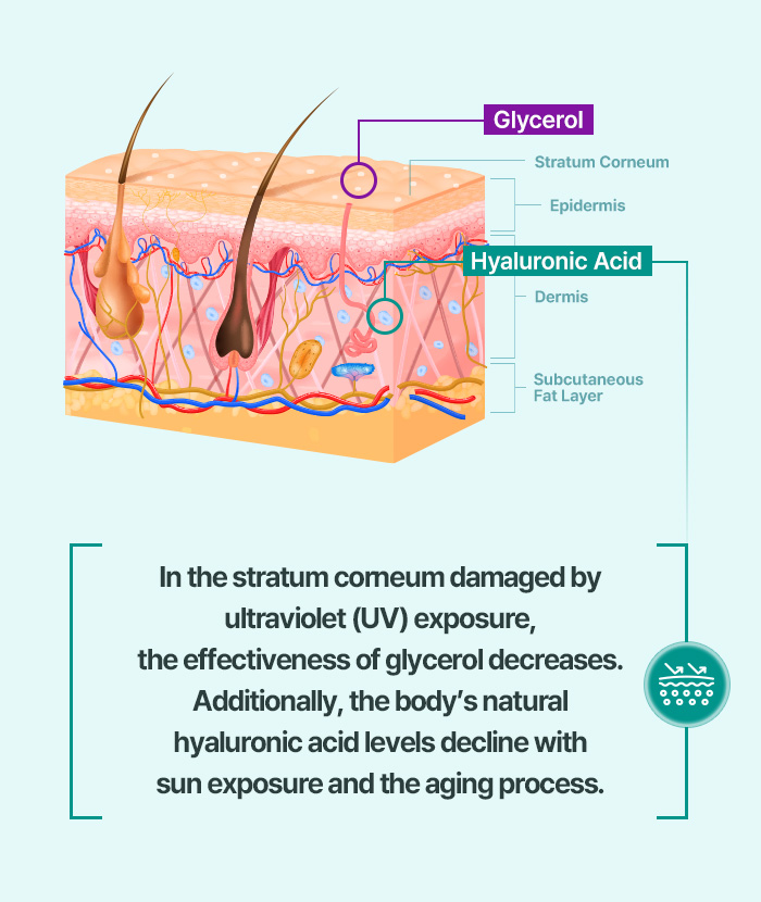 Hydration&Repair-06